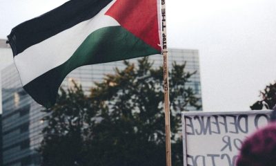 Palestian protests, dnc