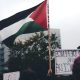 Palestian protests, dnc