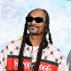 Snoop Dogg, Martha Stewart, Master P, Black business