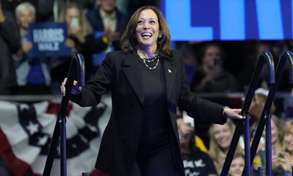 2024 election, Kamala Harris, Donald Trump, campaign rallies, Harris campaign, Trump campaign, Harris rallies, Trump rallies, rally-goers, theGrio.com