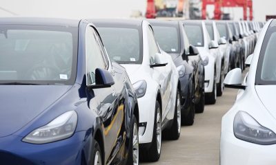 Teslas, which will be sent to the Port of Zeebrugge in Belgium, wait to be loaded on board the cargo vessel Theben operated by Wallenius Wilhelmsen at Nangang port.