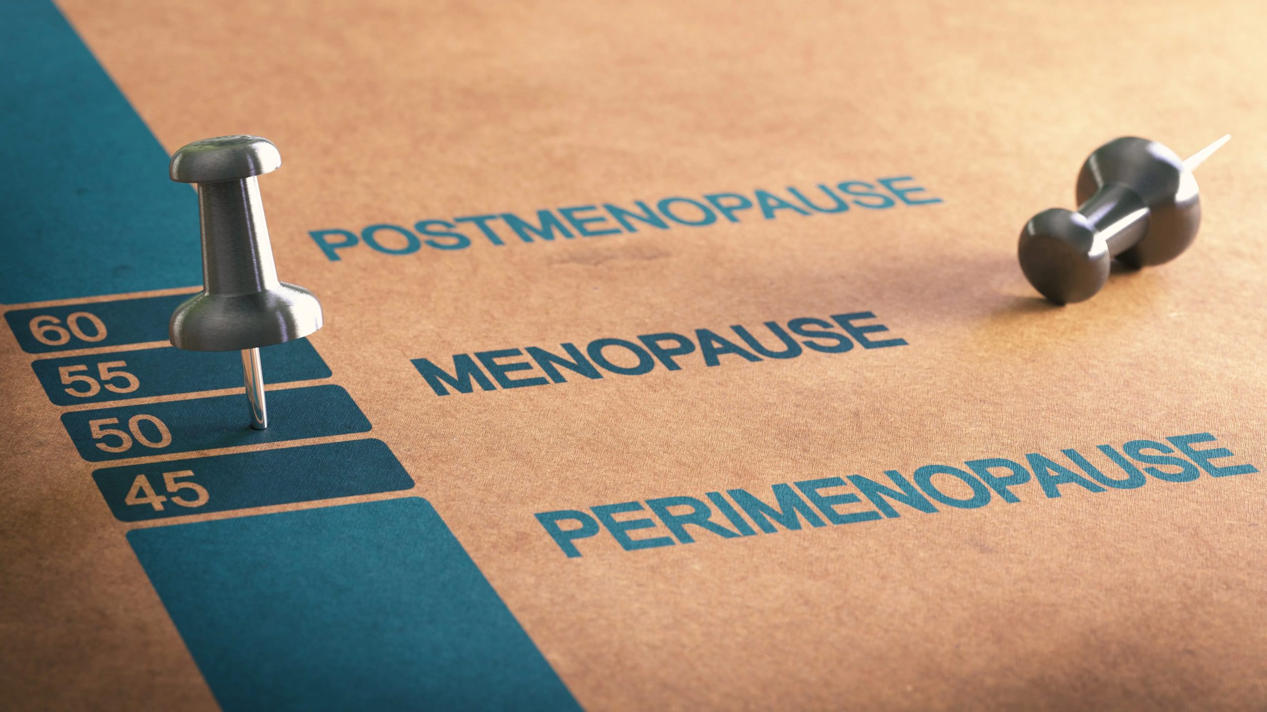 menopause, perimenopause, World Menopause Day, The Change, women and hormones, women